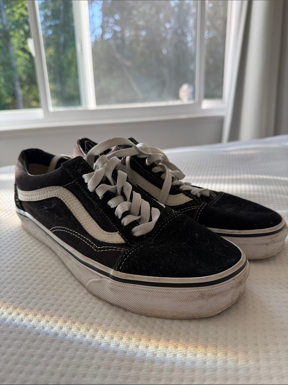 Vans Women’s Low Top Sneakers in Black and White